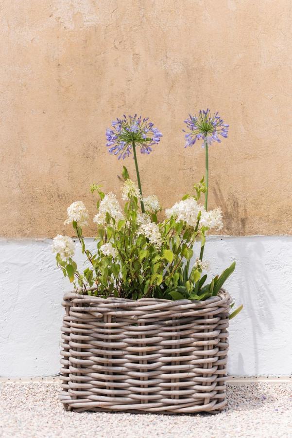 La Petite Ruche, 1 Bedroom Gite In The Luberon อัพท์ ภายนอก รูปภาพ