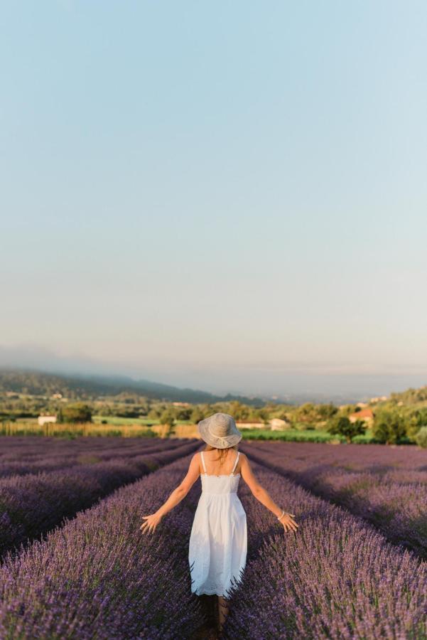 La Petite Ruche, 1 Bedroom Gite In The Luberon อัพท์ ภายนอก รูปภาพ